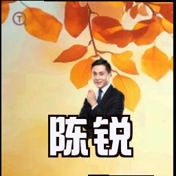 陈锐